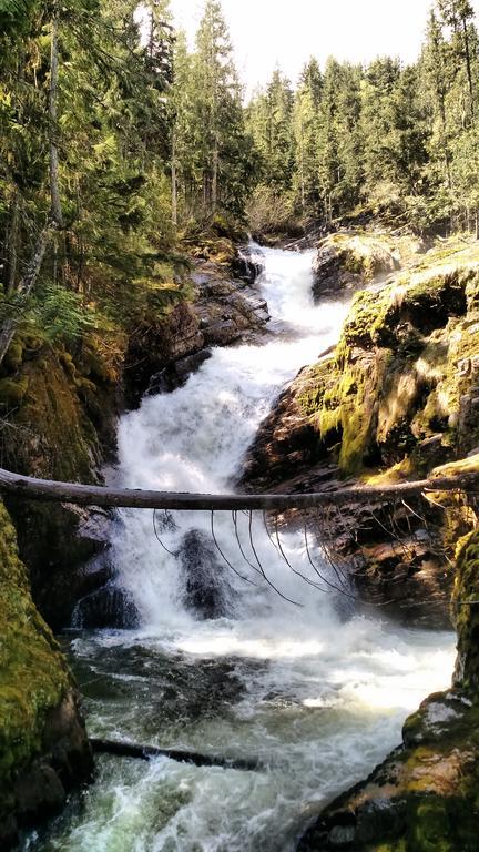 Mulvehill Creek Wilderness Inn And Wedding Chapel Revelstoke Exteriör bild