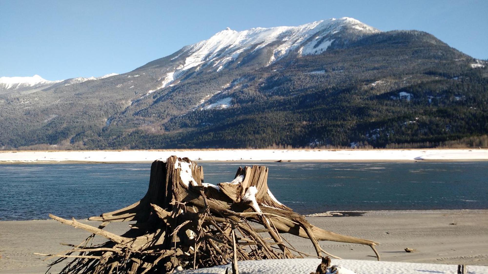 Mulvehill Creek Wilderness Inn And Wedding Chapel Revelstoke Exteriör bild