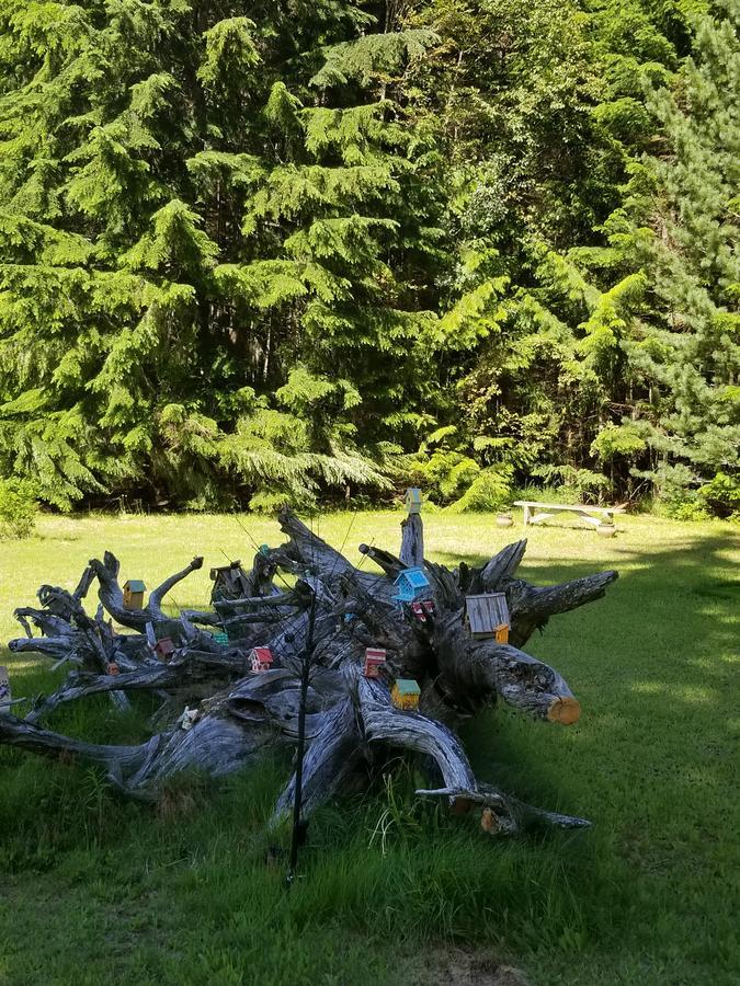 Mulvehill Creek Wilderness Inn And Wedding Chapel Revelstoke Exteriör bild