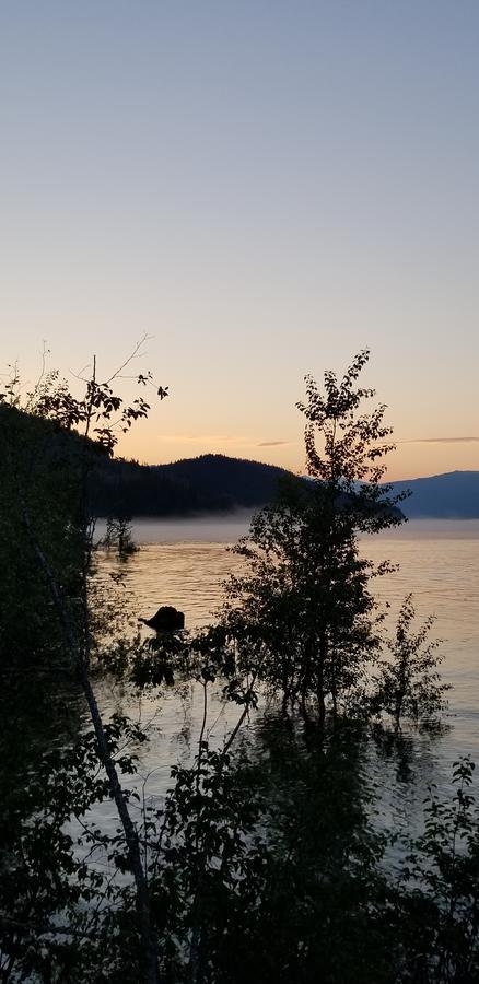 Mulvehill Creek Wilderness Inn And Wedding Chapel Revelstoke Exteriör bild