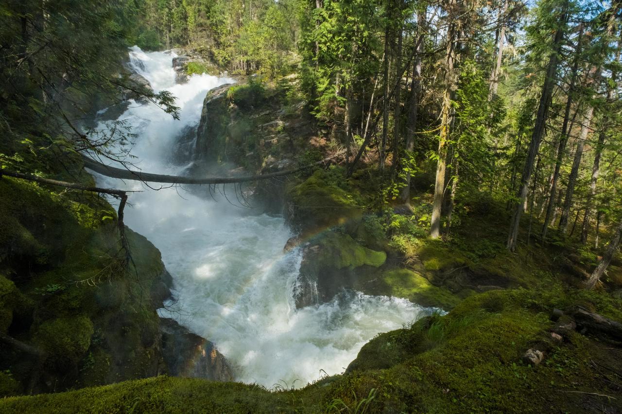 Mulvehill Creek Wilderness Inn And Wedding Chapel Revelstoke Exteriör bild